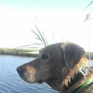 Meet your Posher, Dustin